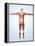 Muscular System-Roger Harris-Framed Premier Image Canvas