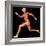 Muscular System-PASIEKA-Framed Premium Photographic Print