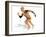 Muscular System-Victor Habbick-Framed Photographic Print