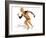 Muscular System-Victor Habbick-Framed Photographic Print