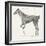 Musculature, Horse, Illustration, 1772-Science Source-Framed Giclee Print