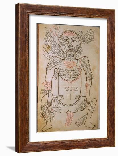 Musculature Plate from 18th Century Anatomy Treatise by Bernhard Albinus-null-Framed Art Print