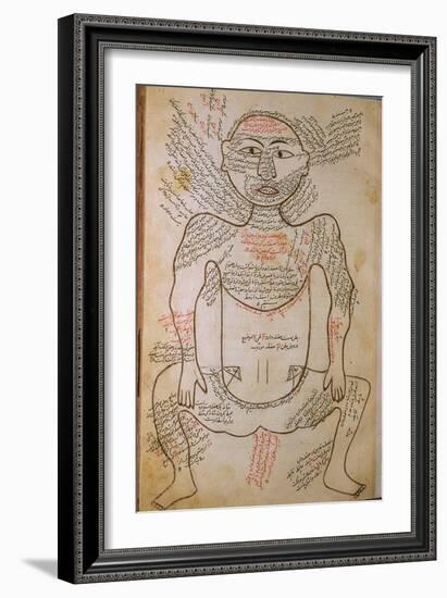 Musculature Plate from 18th Century Anatomy Treatise by Bernhard Albinus-null-Framed Art Print