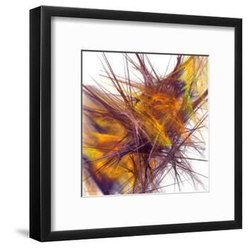 Muse II-Jean-François Dupuis-Framed Art Print