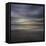 Muse-Doug Chinnery-Framed Premier Image Canvas