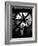 Musee d'Orsay's Clock Window, Paris, France-Lisa S^ Engelbrecht-Framed Photographic Print