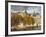 Musee Du Louvre Building in Autumn, Paris, France-Walter Bibikow-Framed Photographic Print