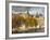 Musee Du Louvre Building in Autumn, Paris, France-Walter Bibikow-Framed Photographic Print