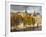 Musee Du Louvre Building in Autumn, Paris, France-Walter Bibikow-Framed Photographic Print