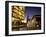 Museo Del Foro and Fountains in the Plaza De La Seo Illuminated at Night, Zaragoza, Aragon, Spain-Ruth Tomlinson-Framed Photographic Print