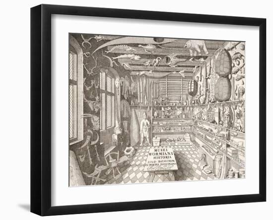 Museum of Ole Worm, Leiden, 1655-G. Wingendorp-Framed Giclee Print