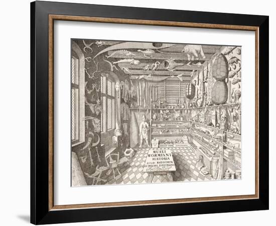 Museum of Ole Worm, Leiden, 1655-G. Wingendorp-Framed Giclee Print