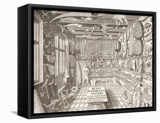 Museum of Ole Worm, Leiden, 1655-G. Wingendorp-Framed Premier Image Canvas