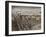 Museum of Qin Terra Cotta Warriors and Horses, Xian, Lintong County, Shaanxi Province, China-Adam Jones-Framed Photographic Print