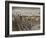 Museum of Qin Terra Cotta Warriors and Horses, Xian, Lintong County, Shaanxi Province, China-Adam Jones-Framed Photographic Print