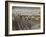 Museum of Qin Terra Cotta Warriors and Horses, Xian, Lintong County, Shaanxi Province, China-Adam Jones-Framed Photographic Print