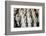 Museum of the Terracotta Warriors, Shaanxi Province, China-G & M Therin-Weise-Framed Photographic Print