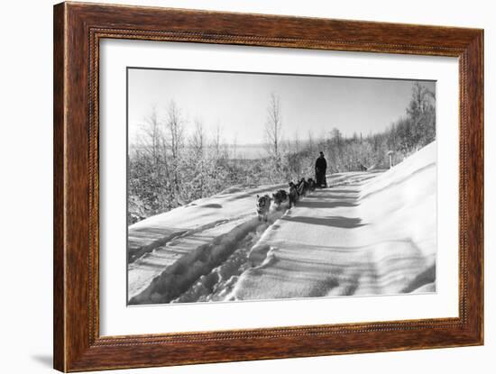 Mushing a Dog Sled in Alaska Photograph - Alaska-Lantern Press-Framed Art Print