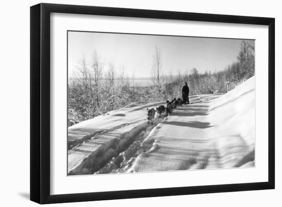 Mushing a Dog Sled in Alaska Photograph - Alaska-Lantern Press-Framed Art Print