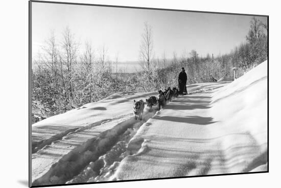 Mushing a Dog Sled in Alaska Photograph - Alaska-Lantern Press-Mounted Art Print