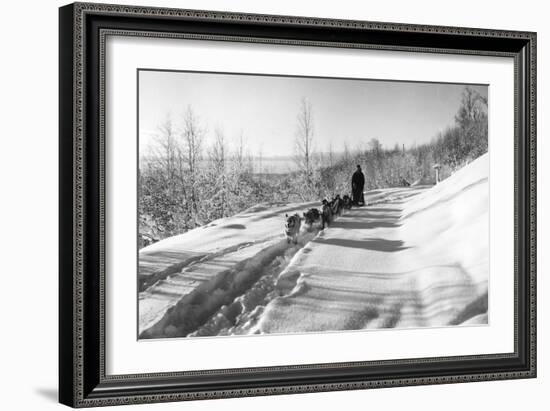 Mushing a Dog Sled in Alaska Photograph - Alaska-Lantern Press-Framed Art Print
