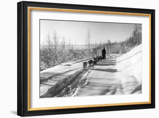 Mushing a Dog Sled in Alaska Photograph - Alaska-Lantern Press-Framed Art Print