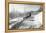 Mushing a Dog Sled in Alaska Photograph - Alaska-Lantern Press-Framed Stretched Canvas