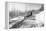 Mushing a Dog Sled in Alaska Photograph - Alaska-Lantern Press-Framed Stretched Canvas