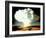 Mushrm. Cloud Rising White, Blotting Horizon, in "Op Ivy, Mike Shot" Atomic Bomb Test Blast-null-Framed Photographic Print