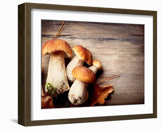 Mushroom Boletus over Wooden Background-Subbotina Anna-Framed Photographic Print