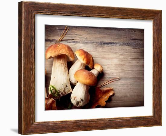 Mushroom Boletus over Wooden Background-Subbotina Anna-Framed Photographic Print