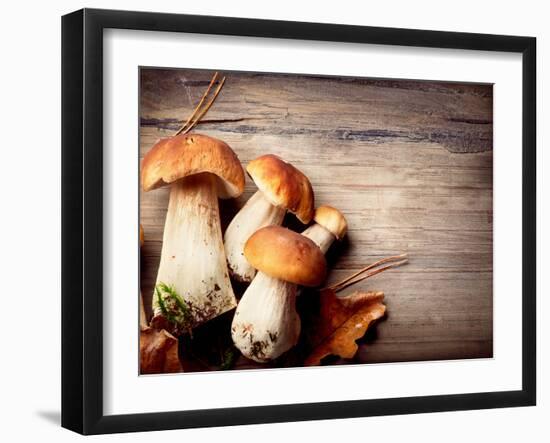 Mushroom Boletus over Wooden Background-Subbotina Anna-Framed Photographic Print