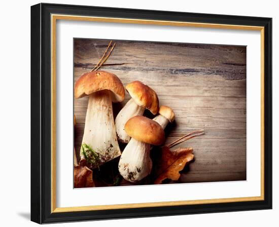 Mushroom Boletus over Wooden Background-Subbotina Anna-Framed Photographic Print