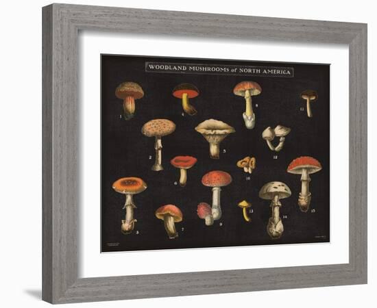 Mushroom Chart I-Wild Apple Portfolio-Framed Art Print