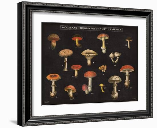 Mushroom Chart I-Wild Apple Portfolio-Framed Art Print