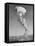 Mushroom Cloud Forming after Blast-null-Framed Premier Image Canvas