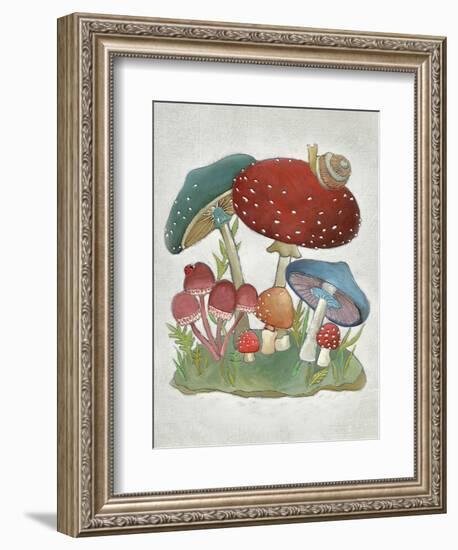 Mushroom Collection I-Chariklia Zarris-Framed Art Print