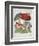 Mushroom Collection I-Chariklia Zarris-Framed Art Print