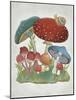 Mushroom Collection I-Chariklia Zarris-Mounted Art Print