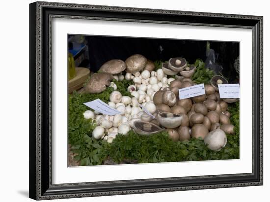 Mushroom Display-Natalie Tepper-Framed Photo