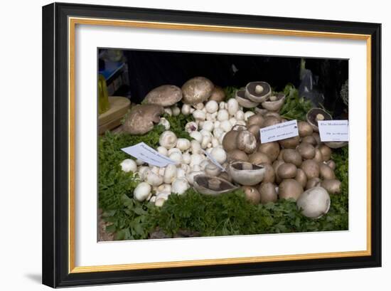 Mushroom Display-Natalie Tepper-Framed Photo