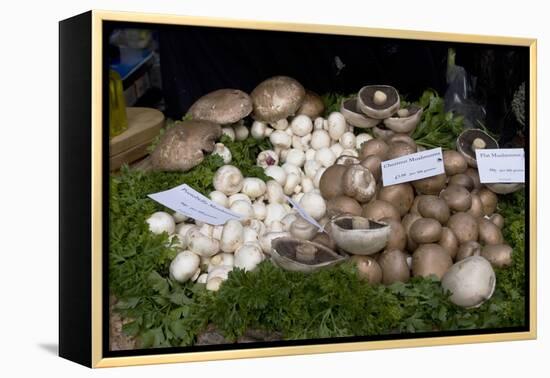 Mushroom Display-Natalie Tepper-Framed Stretched Canvas