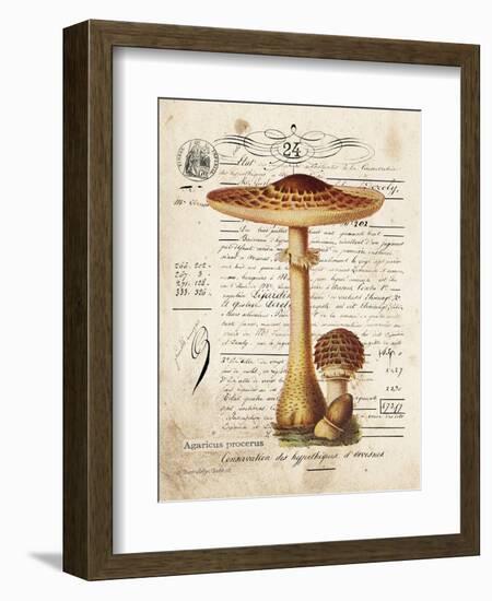 Mushroom I-Gwendolyn Babbitt-Framed Art Print