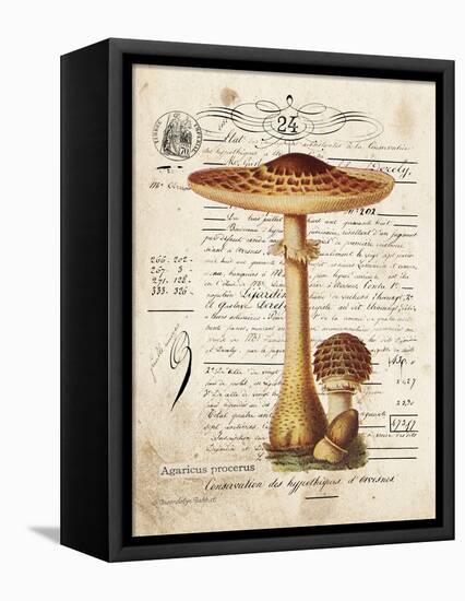 Mushroom I-Gwendolyn Babbitt-Framed Stretched Canvas