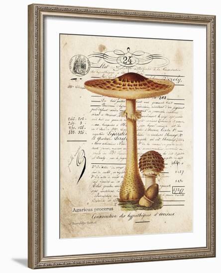 Mushroom I-Gwendolyn Babbitt-Framed Art Print