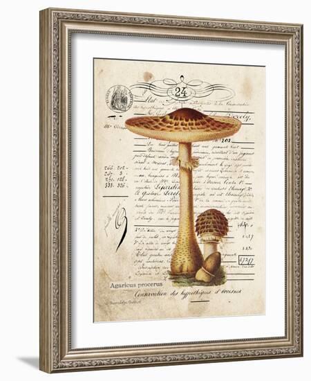 Mushroom I-Gwendolyn Babbitt-Framed Art Print