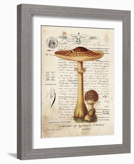 Mushroom I-Gwendolyn Babbitt-Framed Art Print