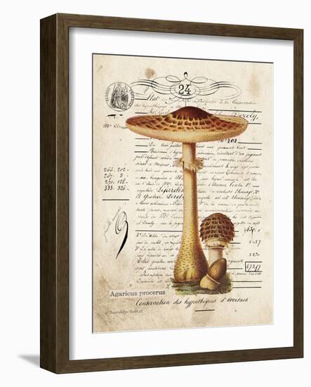 Mushroom I-Gwendolyn Babbitt-Framed Art Print