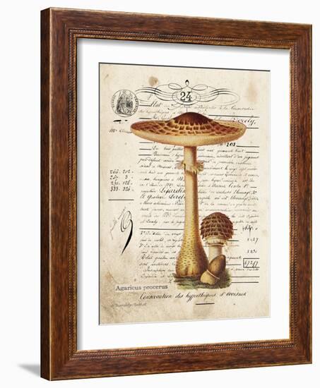 Mushroom I-Gwendolyn Babbitt-Framed Art Print