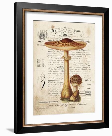 Mushroom I-Gwendolyn Babbitt-Framed Art Print